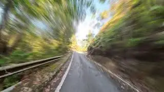 Fraser's Hill Uphill Journey