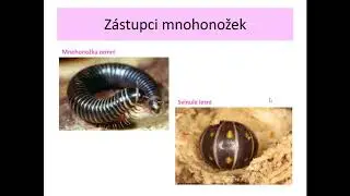 6A př Vzdu&scaron;nicovci