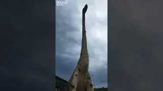 paradinha no paradouro parque das tuias