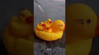 Rubber Ducks With Family In Water | Cute Yellow Toy Duck Pro Toy