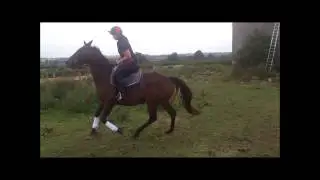 Siobhan keys & Mac Roger