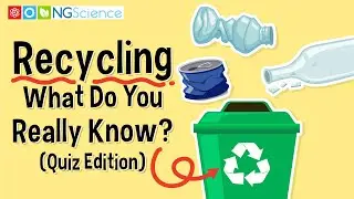 Recycling &ndash; What Do You Really Know? (Quiz Edition)