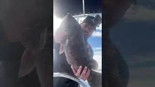 What a fish!! 10.2 lbs!! #totaug #blackfish #fishing #hunting #angler #rhodeisland