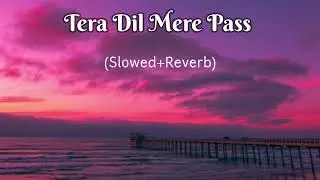 Tera dil mere pass 💞l Slowed Reverb l #slowedandreverb #lofimusic #oldisgold #musicvideo #slowsongs