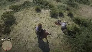 Wild horse killing compilation [RDR2] PART II of II