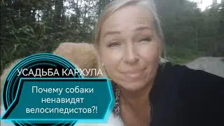 ПОЧЕМУ СОБАКИ НЕНАВИДЯТ ВЕЛОСИПЕДИСТОВ?!
