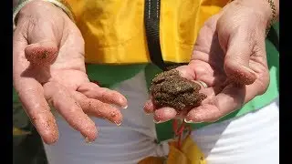 Billions of BP settlement dollars being spent to restore the Gulf of Mexico