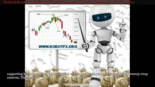 Thailand Boosts Financial Cushion with Increased Currency Swap Reserves  Currency News