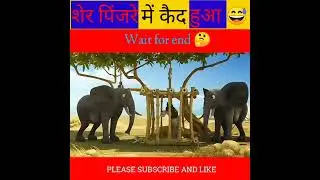 Ser pinjre me fash gaya, 😅🤣❗#Vineshbhil-g4b #leon #cartoon