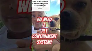 What Is The Best Pet Containment System? #pets #petsafety #shortvideo #shortsreels #shorts #dogshort