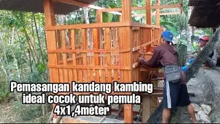 Pemasangan kandang kambing ideal untuk pemula 4x1,4meter di lahan exstrim