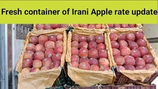 Fresh container of Irani golden Apple rate update || Export quality irani apple ||