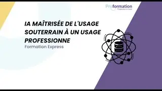 IA ma&icirc;tris&eacute;e  de l'usage souterrain &agrave; un usage professionnel