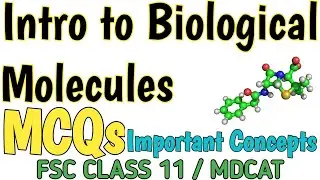 Introduction to Biomolecules MCQS | Bioelements | BIOLOGY FSC CLASS 11 and MCAT | Important Concepts