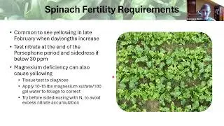 TunnelTalk &ndash; Nitrogen Management and Cover Cropping in Winter Spinach