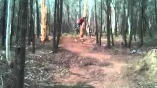 Wyee point trails