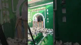 Kaliyar Sharif Kabutar, Kaliyar Sharif, dargah Sharif,