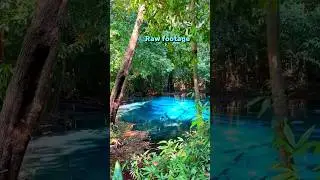 📍Emerald Pool, Krabi - Thailand