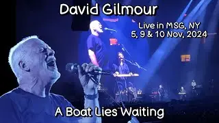 DAVID GILMOUR - A Boat Lies Waiting. Live in Madison Square Garden, New York Nov 5, 9 & 10, 2024. 4K