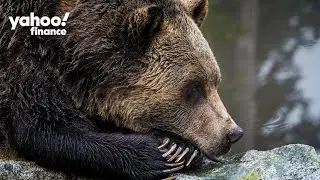 How rare is an S&P 500 bear market?