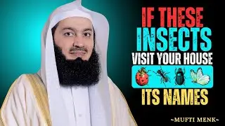 WHEN INSECTS VISIT YOUR HOUSE, DON&rsquo;T IGNORE THESE 6 WARNINGS FROM ALLAH |  MUFTI MENK