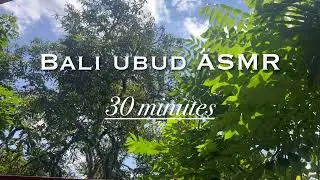 Bali ubud asmr