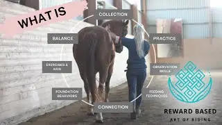 What is Reward Based Riding?