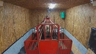 Constructing a Heated Farrowing Room - Part 2