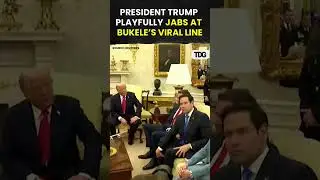 #trump | Trump reacts to Bukele&rsquo;s viral quote, &ldquo;Who gave him that line?&rdquo; #bukele #trending #shorts