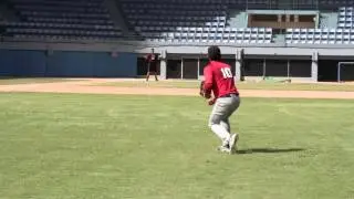 Kevin Ramos Torres Baseball