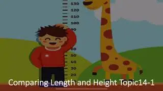 Comparing Height and Length