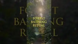 Spa Ceylon's Forest Bathing Ritual: Rejuvenating Wellness Experience in Nature