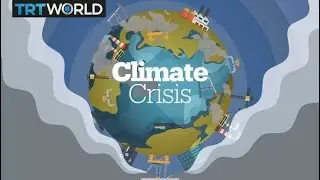 Climate Crisis! A Newsfeed Special