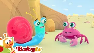 Pan Ślimak na plaży 🏖️ | Morze, krab i letnia zabawa 🌞 Bajki dla dzieci @BabyTVPL