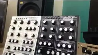 ANALOGUE SOLUTIONS NYBORG 12 in action , no FX