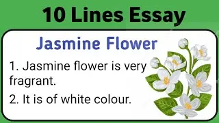Jasmine Flower Essay in English 10 Lines || Short Essay on Jasmine Flower