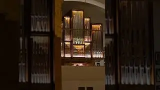 Лютеранский собор. Концерт вековой музыки. Орган при свечах
