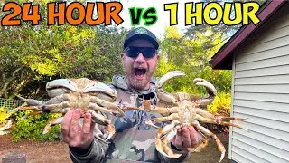 24 HOUR vs 1 HOUR Pro Cure Crabbing Bait Challenge