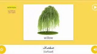 Part 8 - Plants - Vocabulary of Environment - important words - Learn Arabic - تعلم العربية