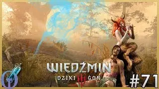 Wyśmienite wiedźmińskie eliksiry - o feromonach || Teoria Gier #71