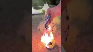 Colour Smoke Testing 😱😱 #shorts #experiment #diwali #fireworks #diwali2024