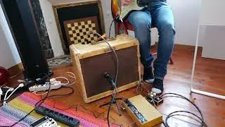 Fender Tweed Deluxe 1956 Clean OD Jan Ray Gosia Stonecaster