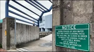 Grey Infrastructure