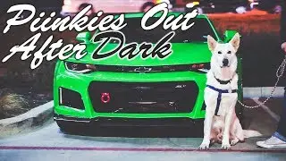 Piinkies Out Meet: Austin, TX December 2017 | BeachBumMedia