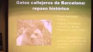 III Jornadas Vascas de Protecci&oacute;n Animal ATEA. CONFLICTO GATOS URBANOS. 2&ordf; parte (Diciembre 2010)
