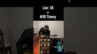 Universal Audio Lion '68 + MXR Timmy Demo Music Guitar Play 3 #shorts