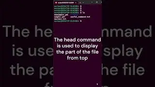 Day 10 | Head Linux Command #linux #linuxcommandline #linuxforbeginners #coding #shell #learnlinux