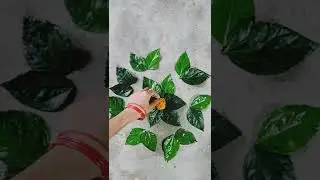 How to make Rangoli with leaves and flowers  फूलों और पत्तों से सुंदर रंगोली बनाए
