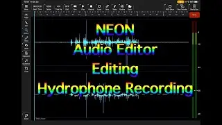 NEON Audio Editor - Multi Editing Hydrophone Samples in Detail - Tutorial for the iPad