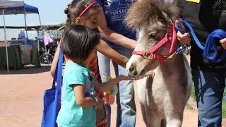Envision at AZ Natl Guard Family Resource Center's Eggstravaganza March, 2016